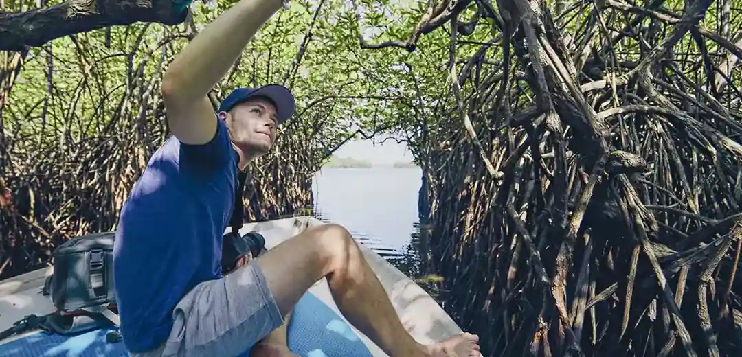 Traditional boat gliding through a Madu River mangrove tunnel