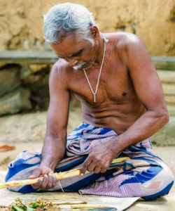 A cinnamon farmer demonstrates peeling cinnamon bark at Cinnamon Island during a Madu River boat safari, showcasing Sri Lanka’s spice heritage