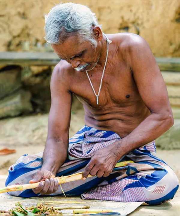 Cinnamon peeling demonstration, Cinnamon Island, Madu River