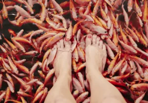 Guest enjoying a natural fish foot spa during a Jaliya Boat Safari on the Madu River, Sri Lanka