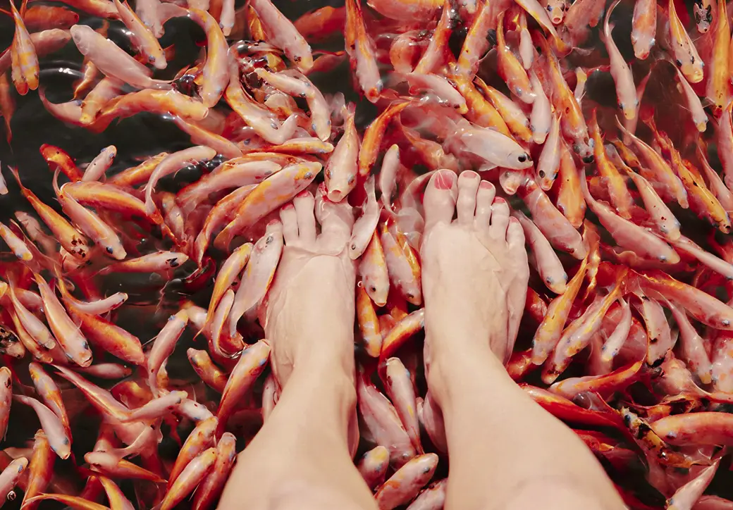 Visitor feet in the water during a natural fish spa stop