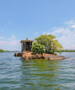 Boats navigate past Five Cent Island (Satha Paha Doowa) on the Madu River, a tiny island shaped like an old Sri Lankan coin with a historic temple
