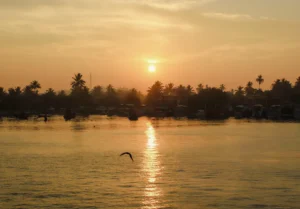 Boat sailing on the Madu River at sunrise, with vivid sky and calm water, as part of Jaliya Boat Safari’s morning cruise
