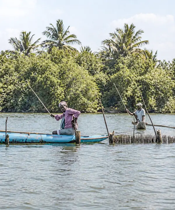 Traditional fisherman near shrimp farms on Madu River