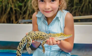 Young girl holding a baby crocodile during a Madu River safari experience