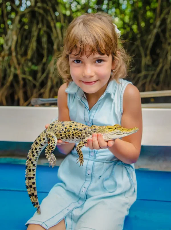 Young girl holding a baby crocodile during a Madu River safari experience