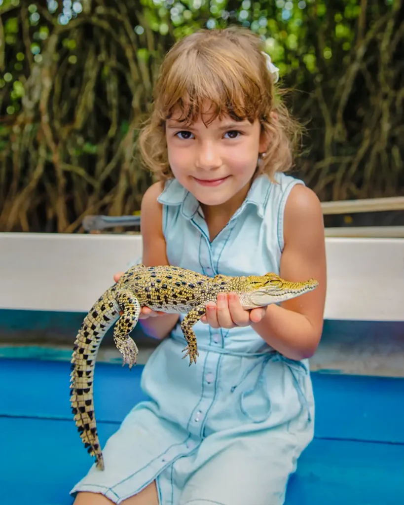 Young girl holding a baby crocodile during a Madu River safari experience
