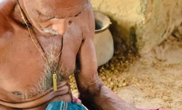 Elderly local peeling fresh Ceylon cinnamon bark by hand in Sri Lanka