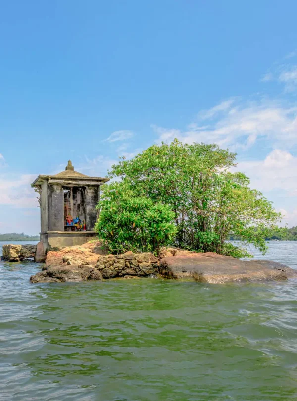 Scenic view of Satha Paha Doowa island on the Madu River in Sri Lanka