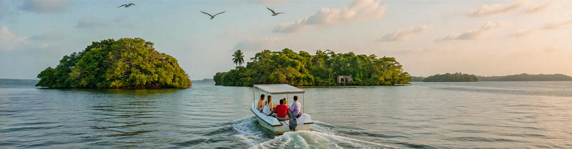 Boat ride through Madu River mangrove waterways, Sri Lanka