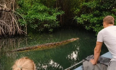Tourists watching a saltwater crocodile from a safari boat on the Madu River