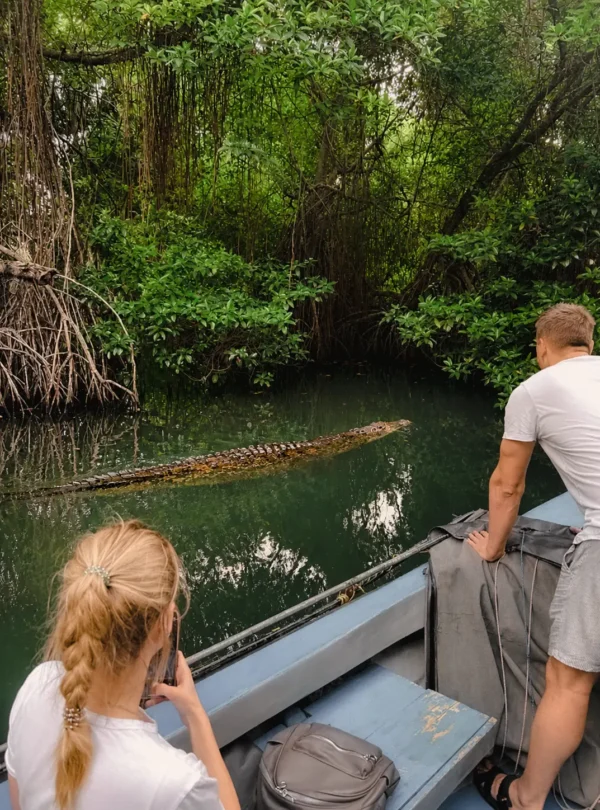 Tourists watching a saltwater crocodile from a safari boat on the Madu River