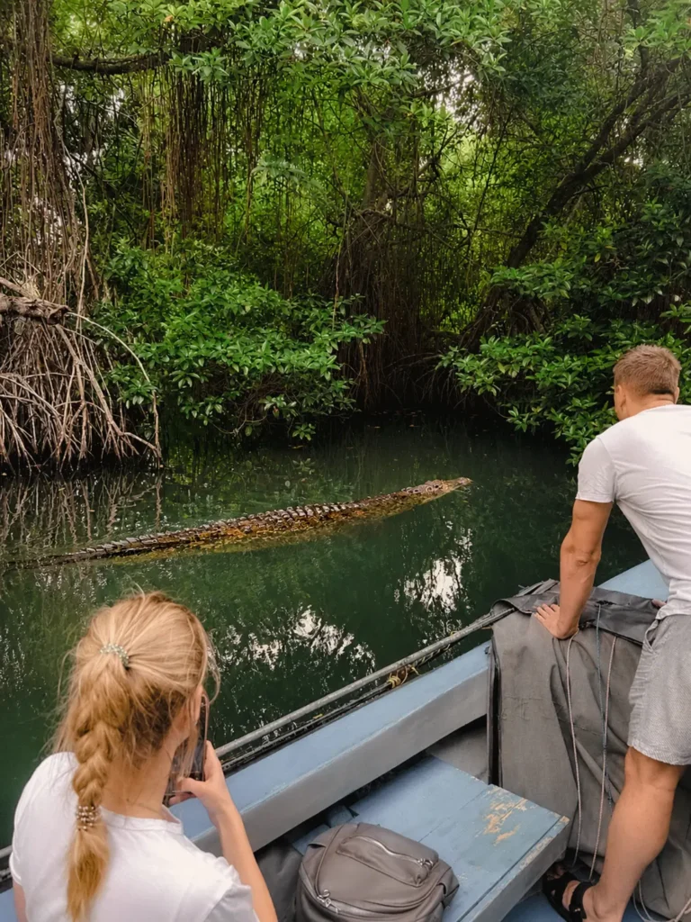 Tourists watching a saltwater crocodile from a safari boat on the Madu River