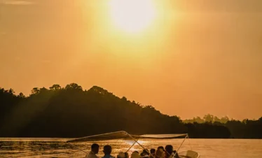 Boat safari cruising through the Madu River during sunrise in Sri Lanka