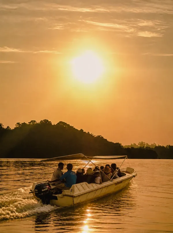 Boat safari cruising through the Madu River during sunrise in Sri Lanka