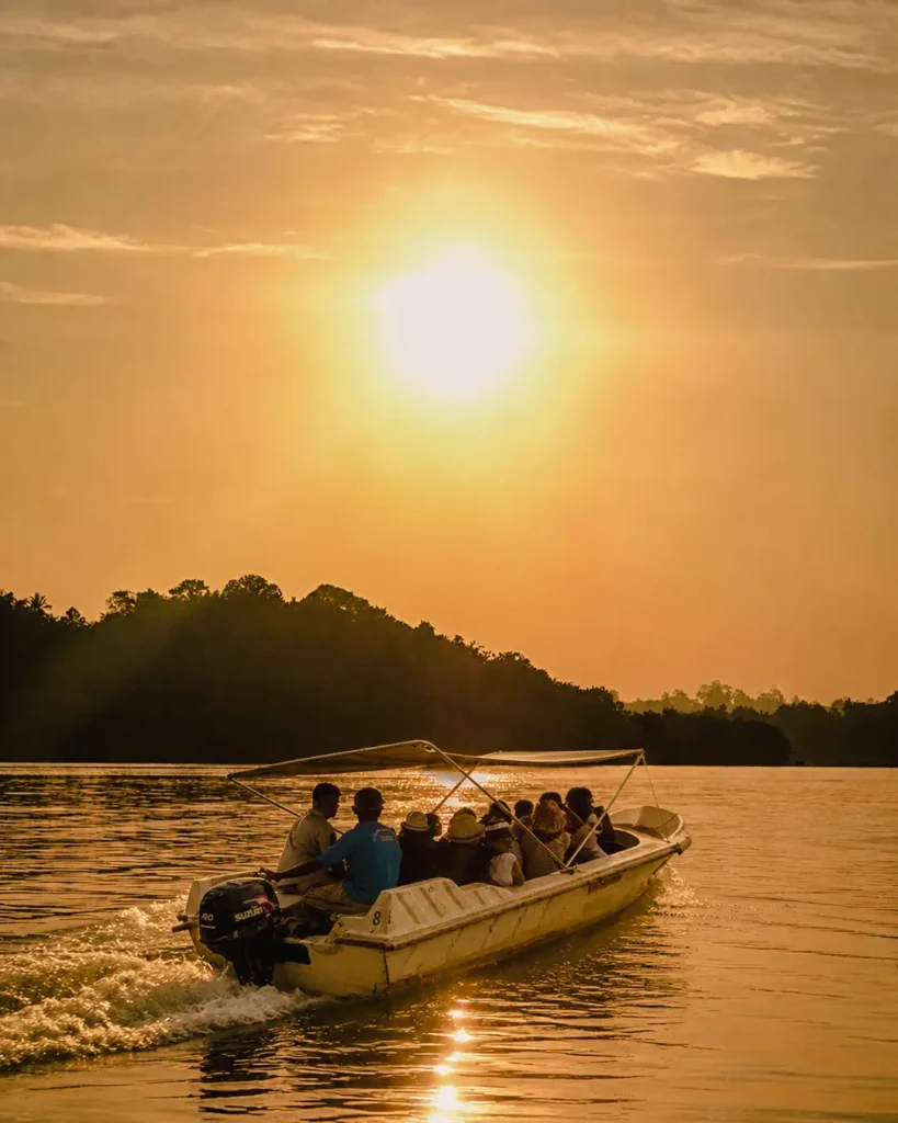 Boat safari cruising through the Madu River during sunrise in Sri Lanka