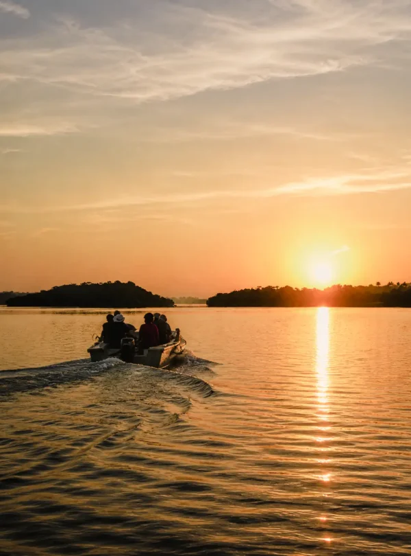 Scenic sunrise boat ride along the calm waters of the Madu River