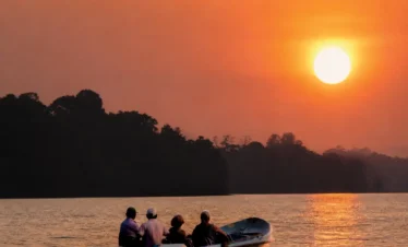 Boat ride during sunset on the peaceful Madu River in Sri Lanka