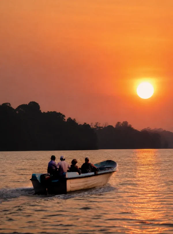 Boat ride during sunset on the peaceful Madu River in Sri Lanka
