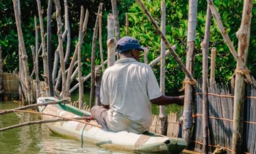 Sri Lankan fisherman checking shrimp farms and angling from a traditional oruwa boat